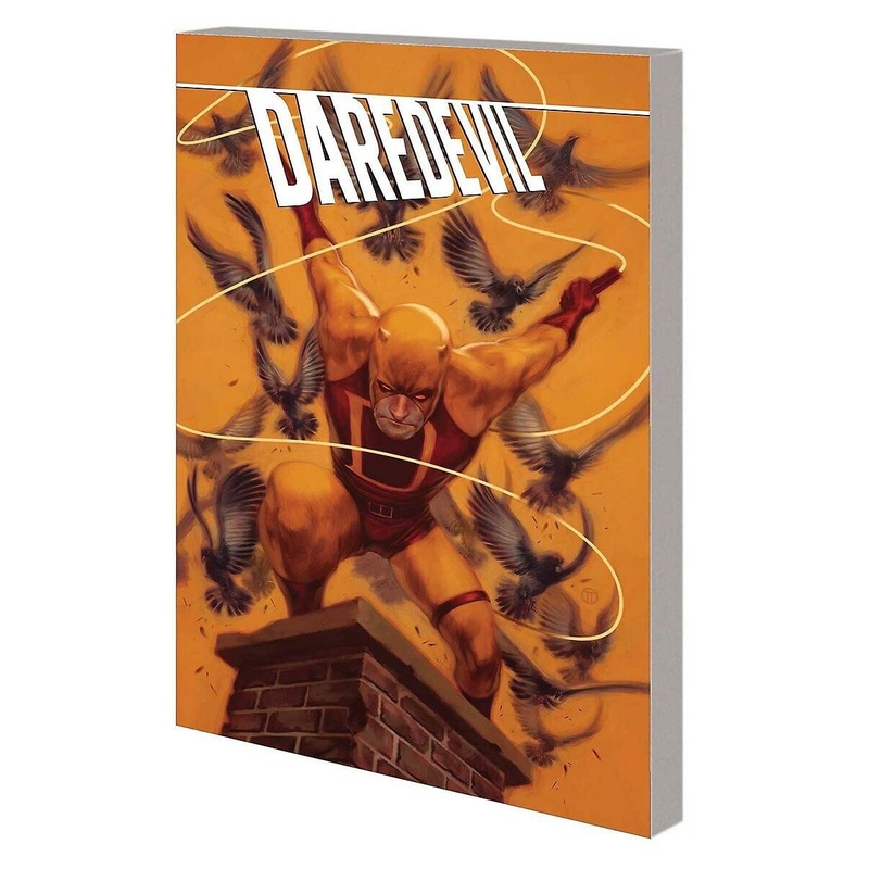 Daredevil: Fearless Origins TP *OOP*