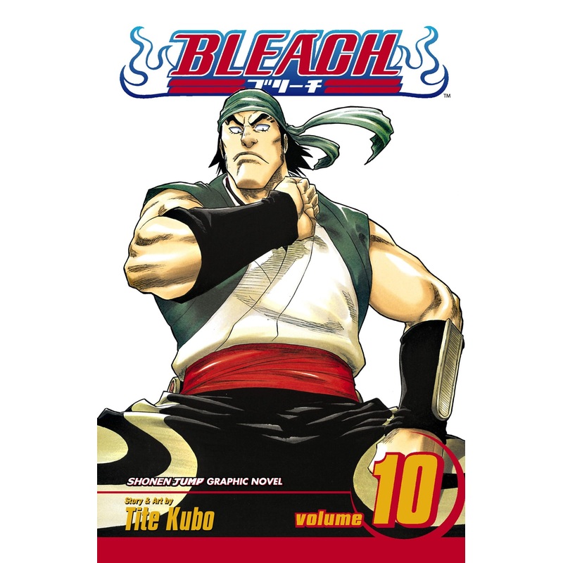 Bleach, Vol. 10