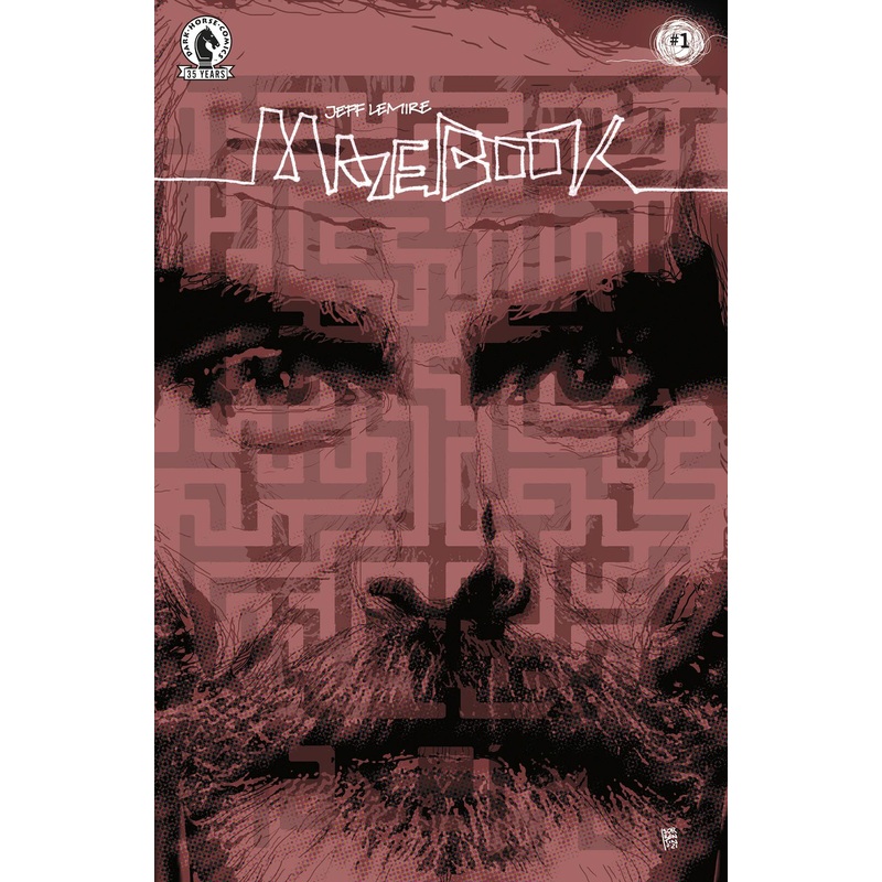 MAZEBOOK #1 (OF 5) CVR B SORRENTINO