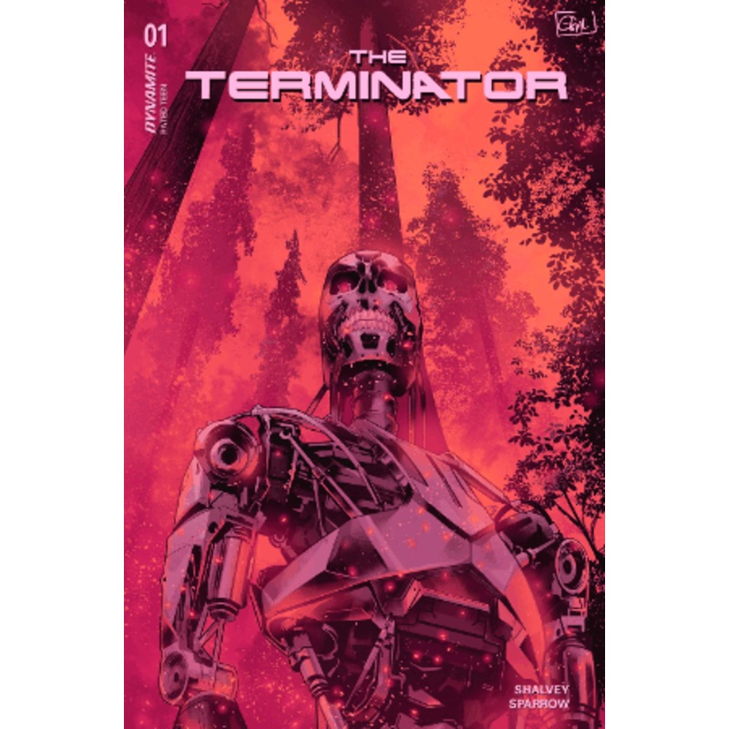TERMINATOR #1 CVR L 1:10 INCV GALMON FOIL