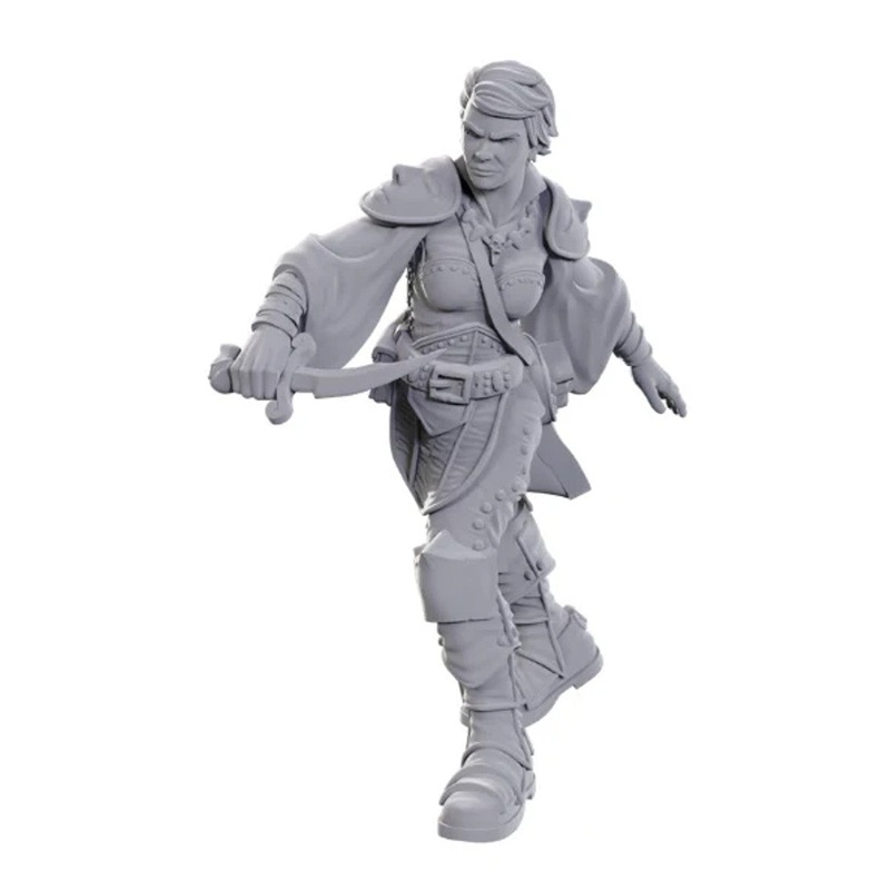 D&D Nolzur's Marvelous Unpainted Minis: W25 Swashbuckler