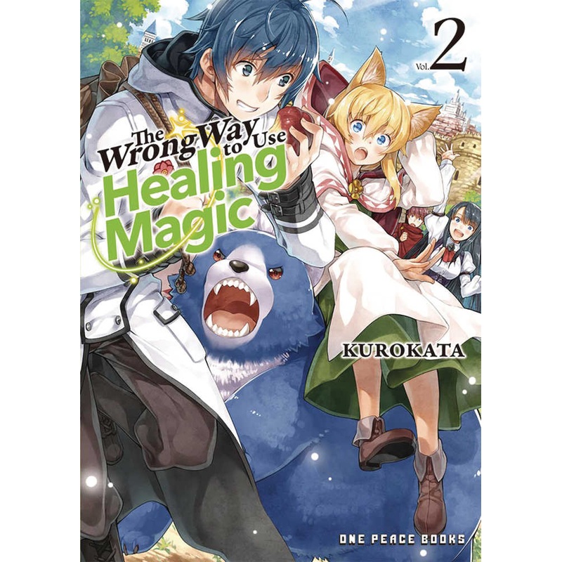Wrong Way Use Healing Magic L Novel Volume 02