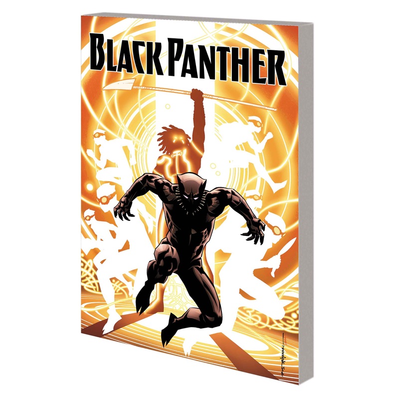Black Panther TP Volume 02 Nation Under Our Feet