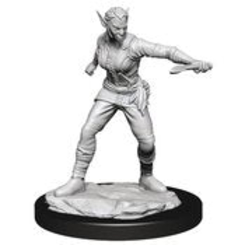 D&D Nolzars Marvelous Minis Shifter Rogue Female