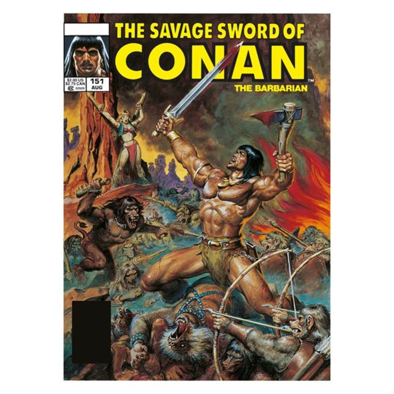 SAVAGE SWORD OF CONAN THE ORIGINAL COMICS OMNIBUS HC VOL 11 DIRECT MARKET EDITION DOUG BEEKMAN CVR (MR) (19 Nov Release)