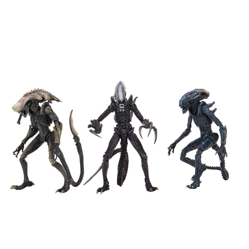 ALIEN VS PREDATOR MOVIE DECO ALIEN 7IN AF ASST Arachnoid Alien