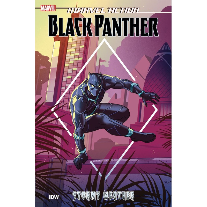 Marvel Action: Black Panther: Stormy Weather (Book One)
