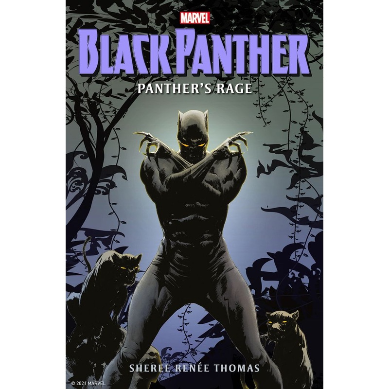 Black Panther: Panther's Rage (Hardcover)