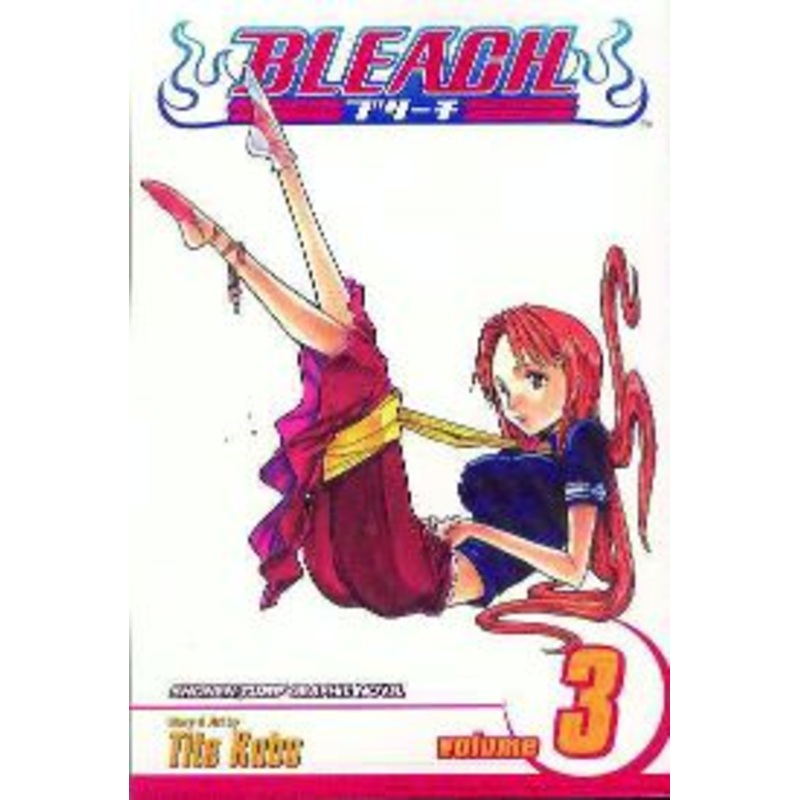 Bleach, Vol. 3