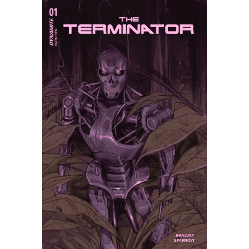 TERMINATOR #1 CVR K 1:10 INCV SWAY FOIL