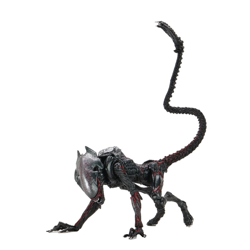 Aliens Kenner Tribute Ultimate Night Cougar Alien 7 Inch Action Figure