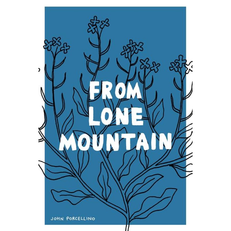 From Lone Mountain TP