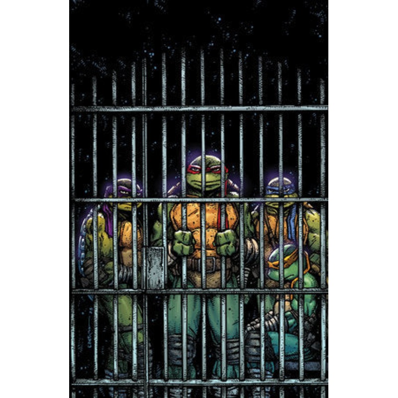 TEENAGE MUTANT NINJA TURTLES 2024 #11 VAR RI (10) (Eastman Full Art) (27 Aug Release)