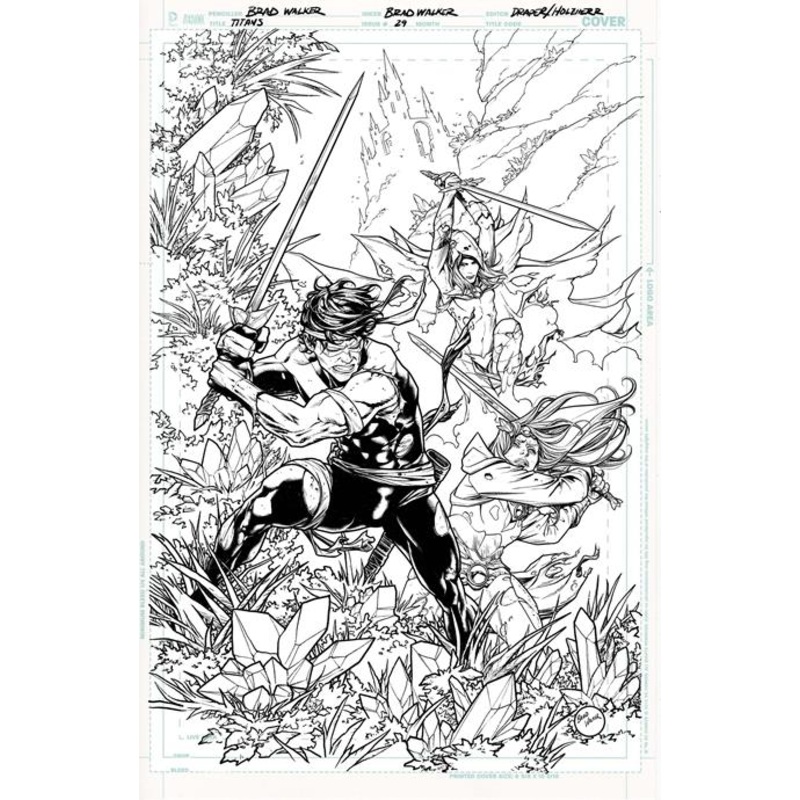 TITANS #29 CVR B BRAD WALKER CARD STOCK VAR (DC K.O.) (19 Nov Release)