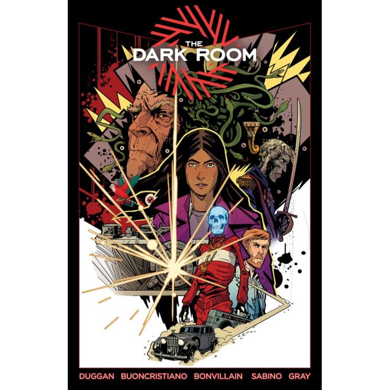 The Dark Room (Hardcover)