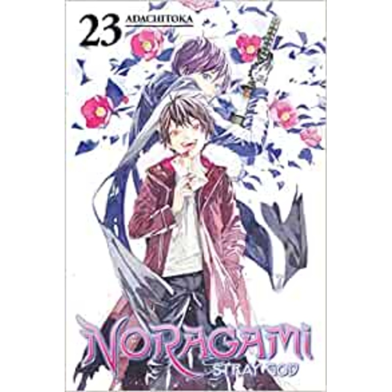Noragami: Stray God, Vol. 23