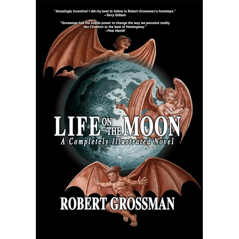 Life On The Moon HC by Robert Grossman
