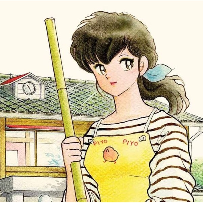 Maison Ikkoku Bundle incl Vol 1-10