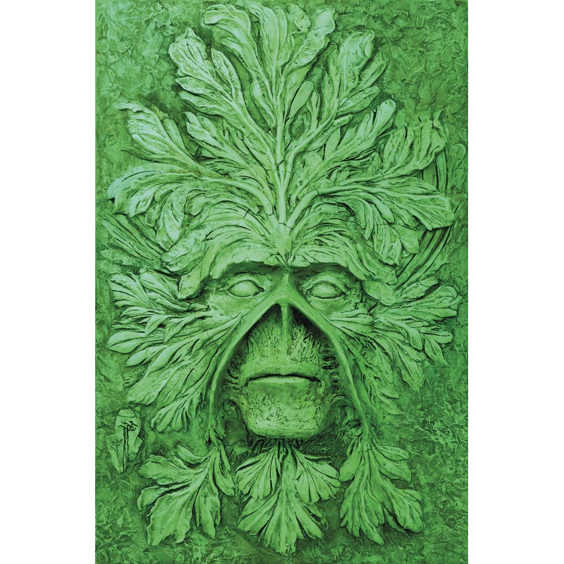 Absolute Swamp Thing by Alan Moore HC Vol 01