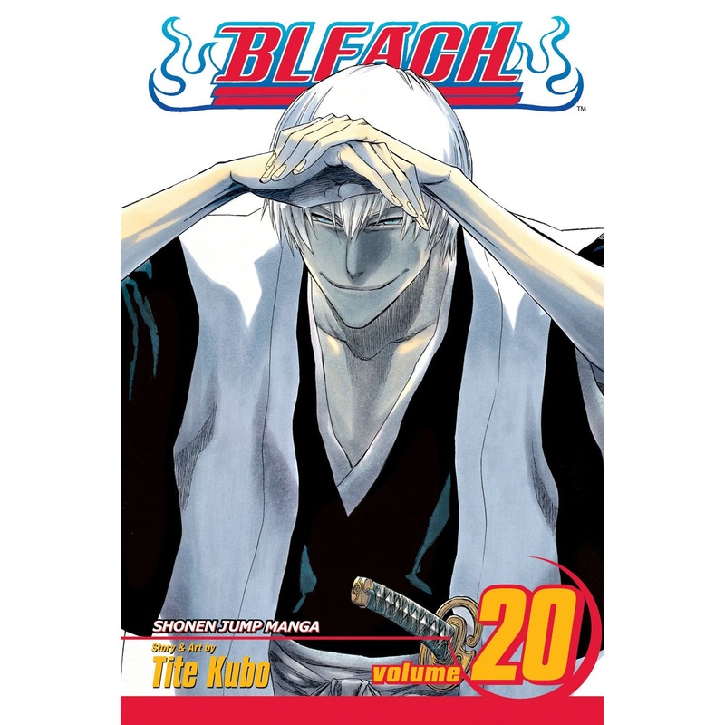Bleach, Vol. 20
