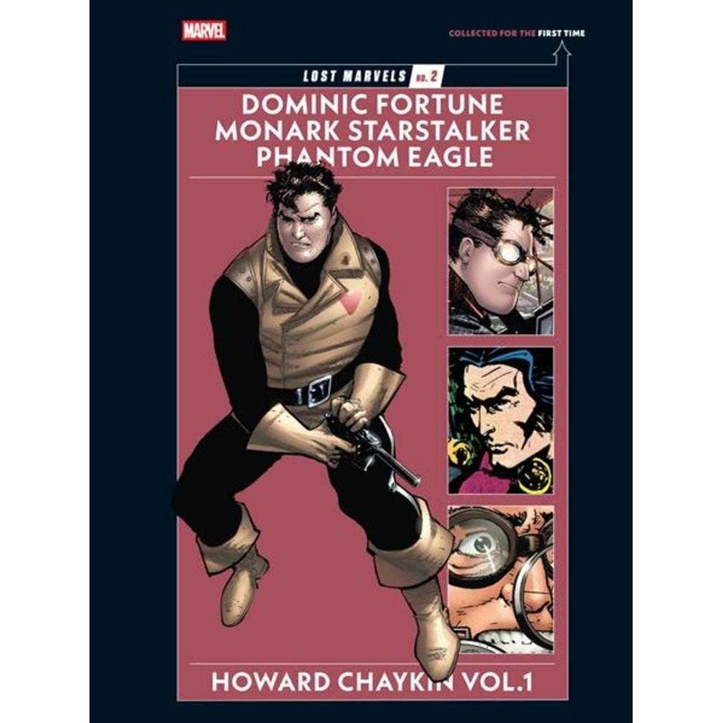Lost Marvels Hardcover No 02 Howard Chaykin Volume 01 (Mature)