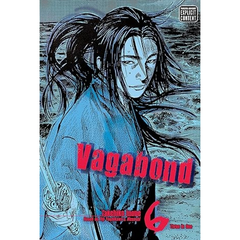 Vagabond, Vol. 6 (VIZBIG Edition)