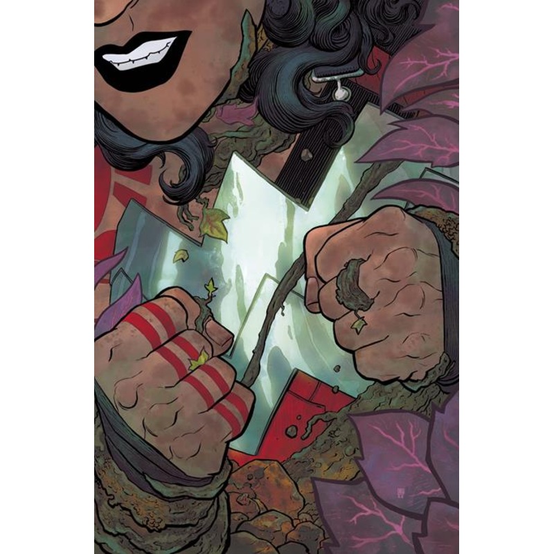 ABSOLUTE WONDER WOMAN #14 CVR A HAYDEN SHERMAN (26 Nov Release) This only, one comic book.