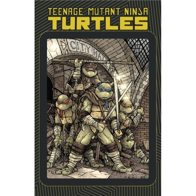 Teenage Mutant Ninja Turtles: Macro-Series