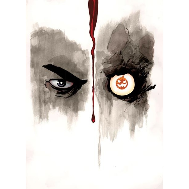 BATMAN THE LONG HALLOWEEN SPECIAL #1 (ONE SHOT) CVR C INC 1:25 TIM SALE VAR