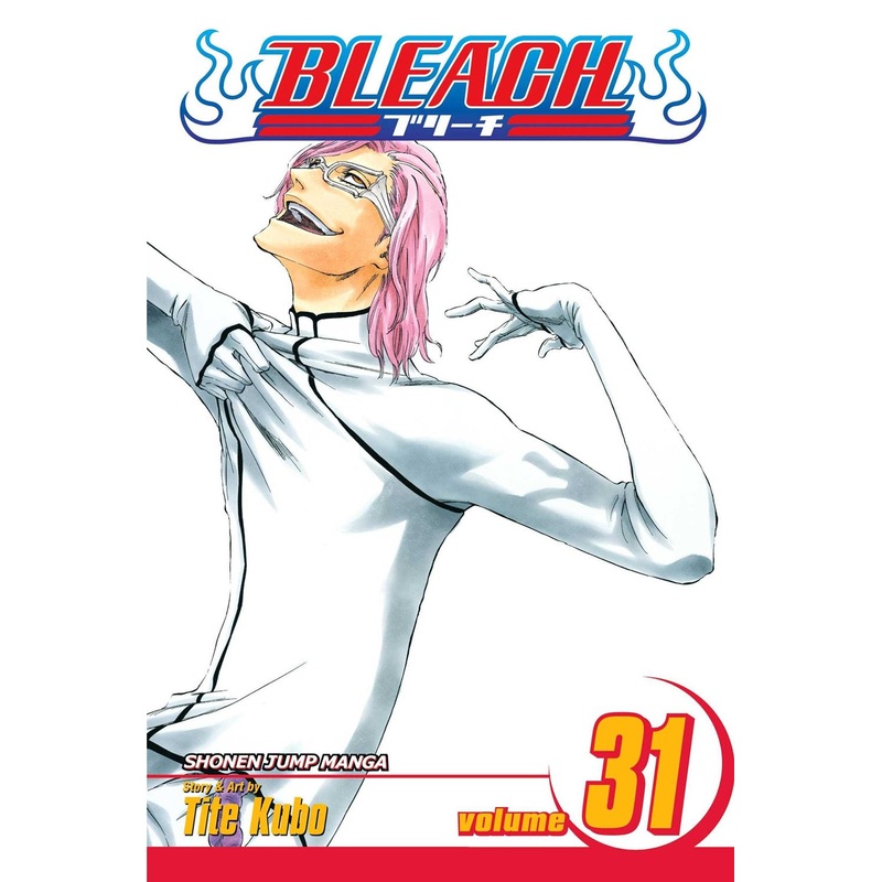 Bleach, Vol. 31