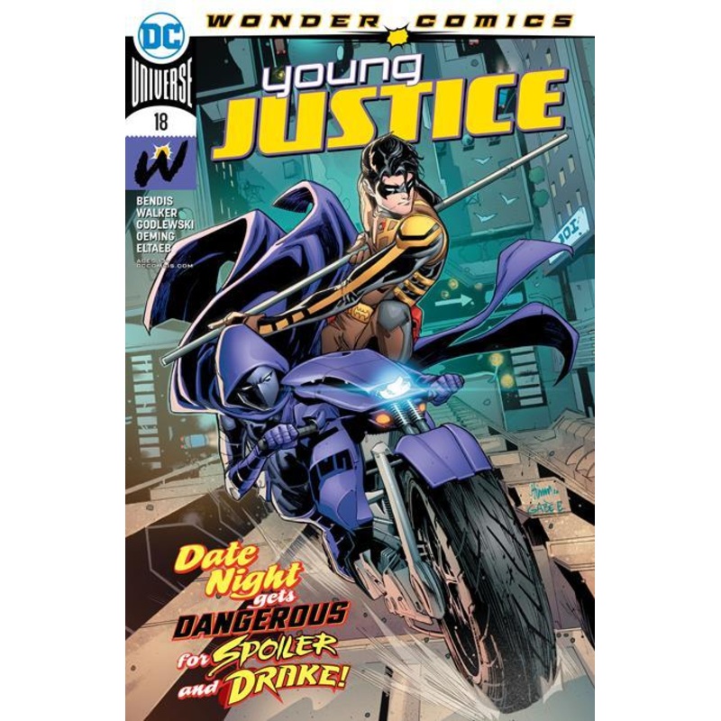 YOUNG JUSTICE #18 CVR A JOHN TIMMS