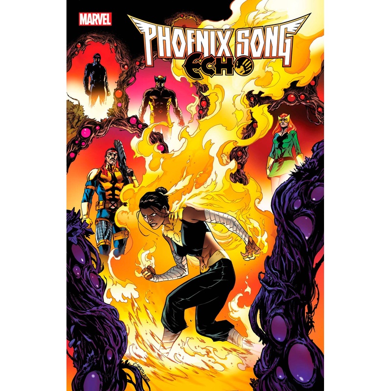 PHOENIX SONG ECHO #2 (OF 5) This only, one comic book.