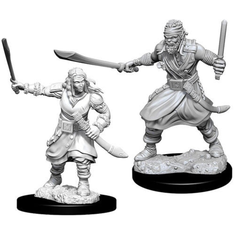 D&D Nolzur's Marvelous Unpainted Minis: W8 Bandits